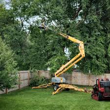 Best Storm Damage Tree Cleanup  in Rouses Point, NY